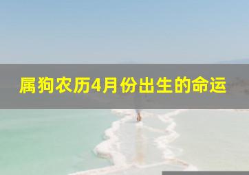 属狗农历4月份出生的命运