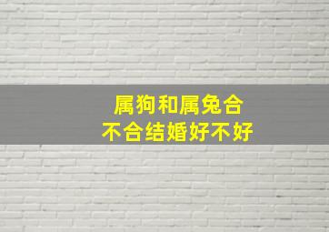 属狗和属兔合不合结婚好不好