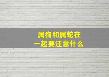 属狗和属蛇在一起要注意什么