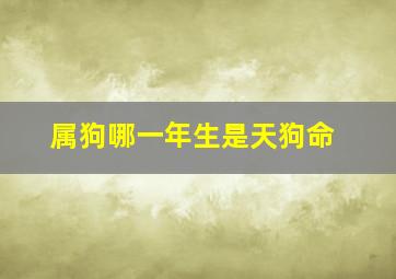 属狗哪一年生是天狗命