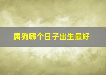 属狗哪个日子出生最好