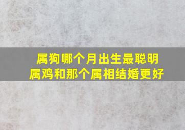 属狗哪个月出生最聪明属鸡和那个属相结婚更好