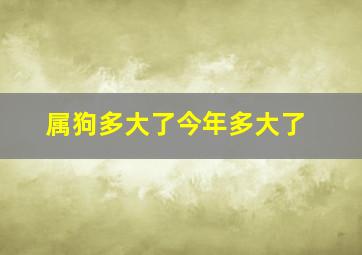 属狗多大了今年多大了