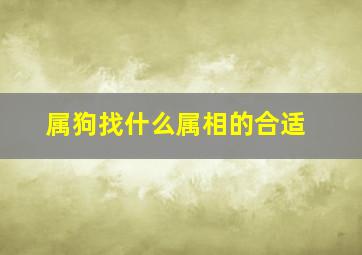 属狗找什么属相的合适