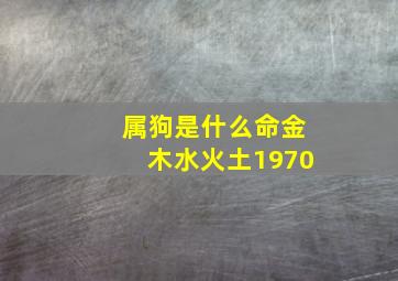 属狗是什么命金木水火土1970