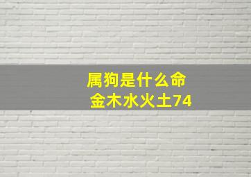 属狗是什么命金木水火土74