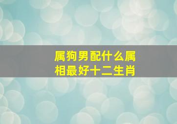 属狗男配什么属相最好十二生肖