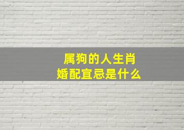 属狗的人生肖婚配宜忌是什么