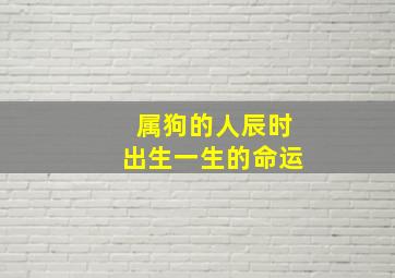 属狗的人辰时出生一生的命运