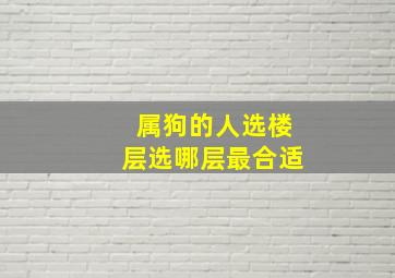 属狗的人选楼层选哪层最合适