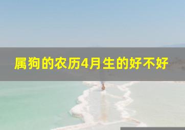 属狗的农历4月生的好不好