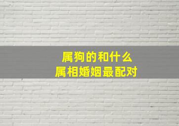 属狗的和什么属相婚姻最配对