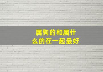 属狗的和属什么的在一起最好