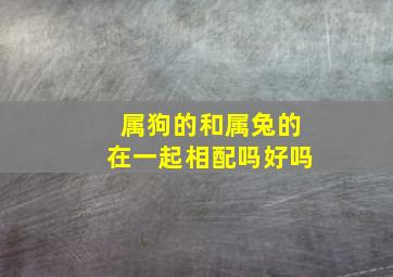 属狗的和属兔的在一起相配吗好吗