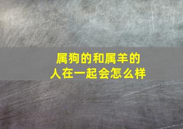 属狗的和属羊的人在一起会怎么样