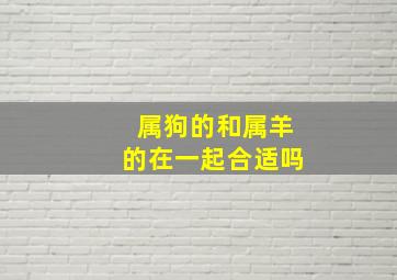 属狗的和属羊的在一起合适吗