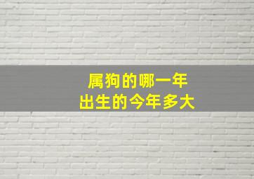 属狗的哪一年出生的今年多大