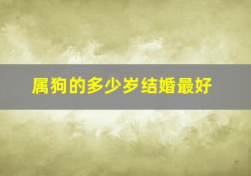 属狗的多少岁结婚最好