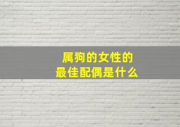 属狗的女性的最佳配偶是什么