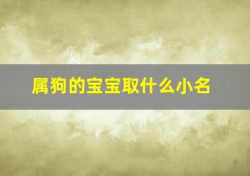 属狗的宝宝取什么小名