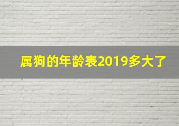 属狗的年龄表2019多大了