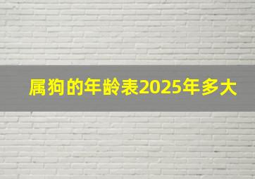 属狗的年龄表2025年多大