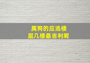 属狗的应选楼层几楼最吉利呢