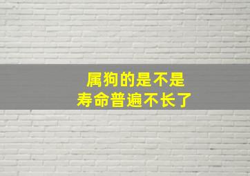 属狗的是不是寿命普遍不长了