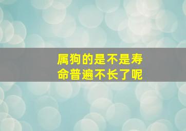 属狗的是不是寿命普遍不长了呢