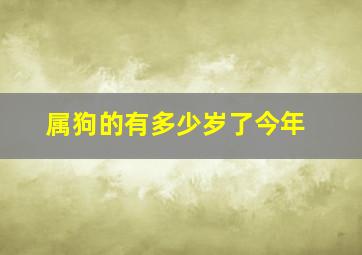 属狗的有多少岁了今年