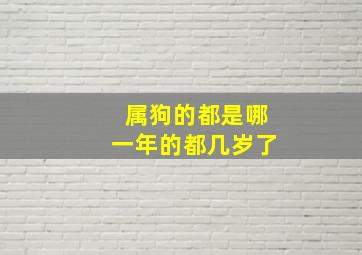 属狗的都是哪一年的都几岁了