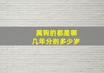 属狗的都是哪几年分别多少岁