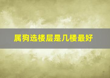 属狗选楼层是几楼最好