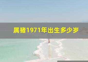 属猪1971年出生多少岁