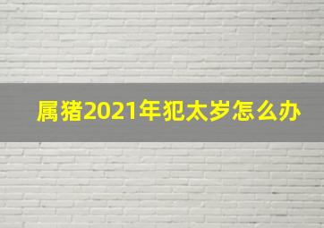 属猪2021年犯太岁怎么办