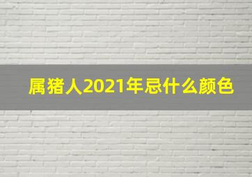 属猪人2021年忌什么颜色