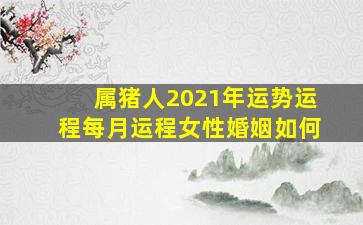 属猪人2021年运势运程每月运程女性婚姻如何