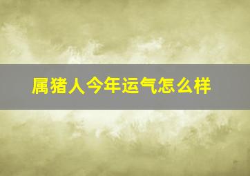 属猪人今年运气怎么样