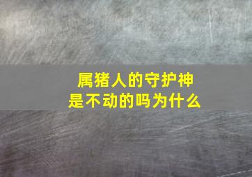 属猪人的守护神是不动的吗为什么