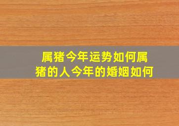 属猪今年运势如何属猪的人今年的婚姻如何