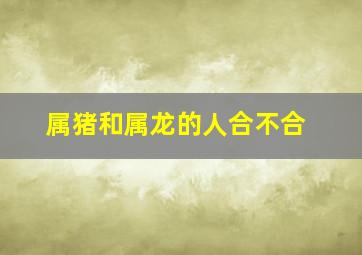 属猪和属龙的人合不合