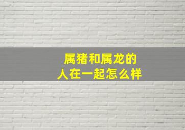 属猪和属龙的人在一起怎么样