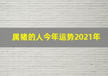 属猪的人今年运势2021年