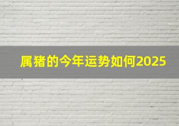 属猪的今年运势如何2025