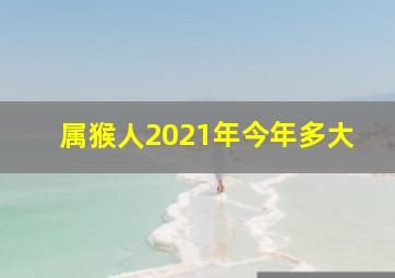 属猴人2021年今年多大