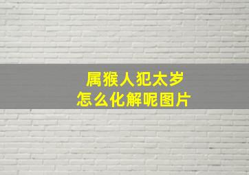 属猴人犯太岁怎么化解呢图片