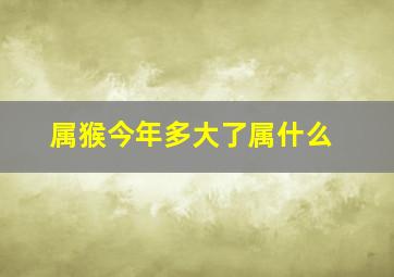 属猴今年多大了属什么