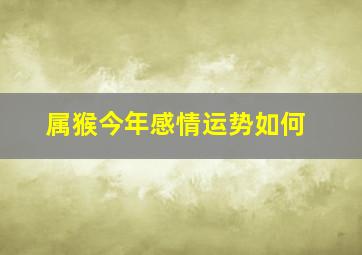 属猴今年感情运势如何