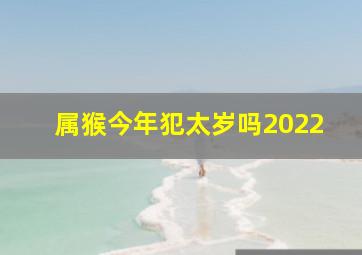 属猴今年犯太岁吗2022