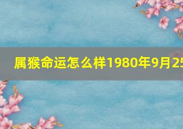 属猴命运怎么样1980年9月25